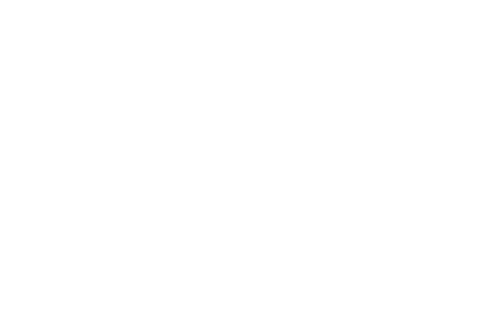 leviko-hyundai